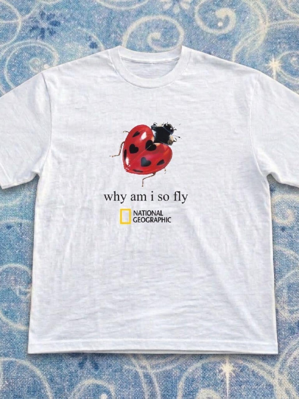White National Geographic Kids White 'Why Am I So Fly' Graphic Tee